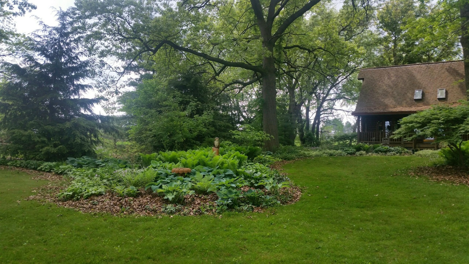 EARLY SPRING FLOWERBEDS